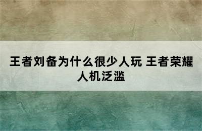 王者刘备为什么很少人玩 王者荣耀人机泛滥